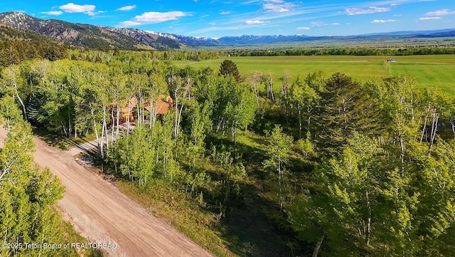 126 S Forest Dr, Star Valley Ranch, WY 83127