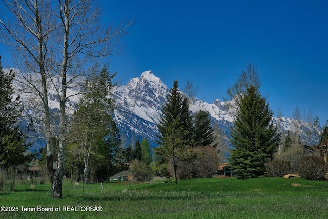 6275 N Aspen Dr, Jackson, WY 83001 - photo 15