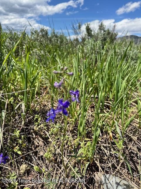 LOT73 Snake River Dr, Alpine, WY 83128