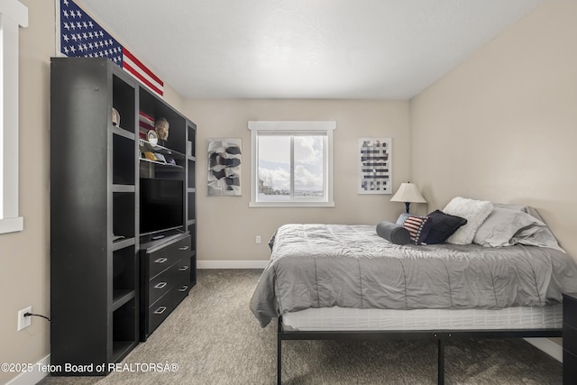 405 Vista Dr, Star Valley Ranch, WY 83127 - carpeted bedroom featuring baseboards