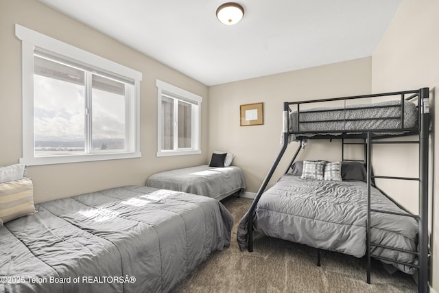 405 Vista Dr, Star Valley Ranch, WY 83127 - view of carpeted bedroom