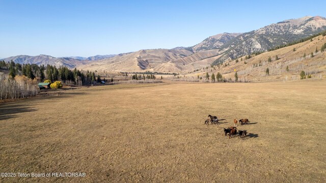 14925 S Mckoy Rd, Jackson, WY 83001 - photo 44