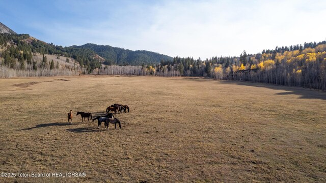 14925 S Mckoy Rd, Jackson, WY 83001 - photo 43