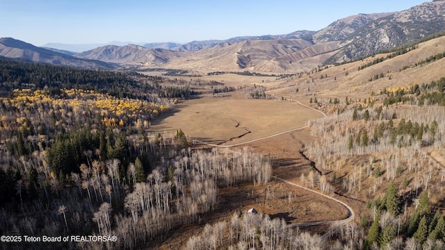 14925 S Mckoy Rd, Jackson, WY 83001 - photo 45