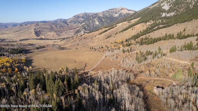 14925 S Mckoy Rd, Jackson, WY 83001 - photo 46
