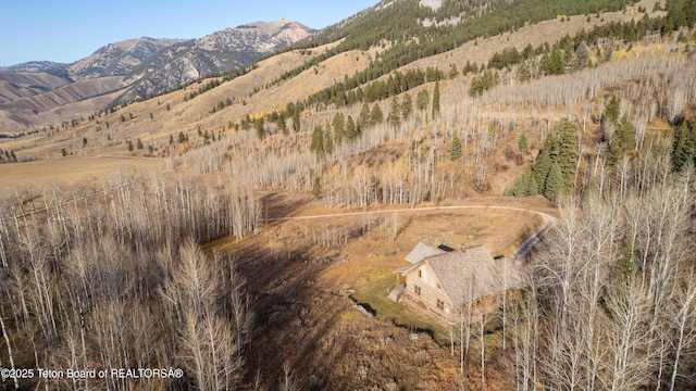 14925 S Mckoy Rd, Jackson, WY 83001 - photo 41