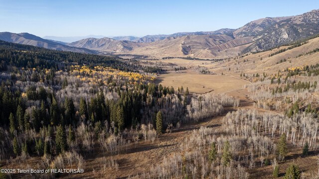 14925 S Mckoy Rd, Jackson, WY 83001 - photo 64