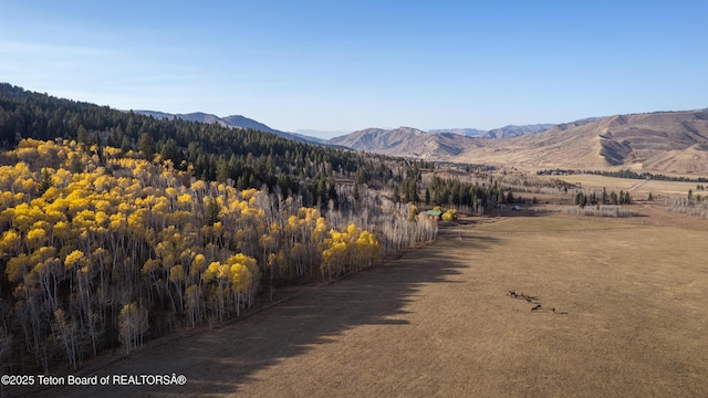 14925 S Mckoy Rd, Jackson, WY 83001 - photo 42