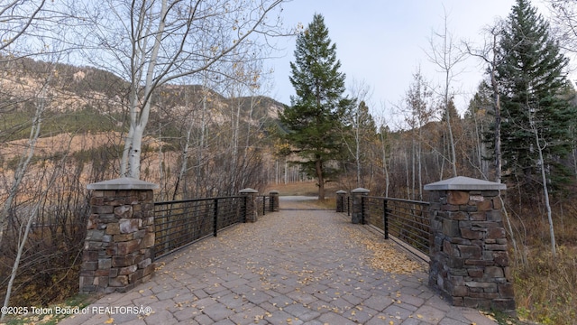 14925 S Mckoy Rd, Jackson, WY 83001 - photo 10
