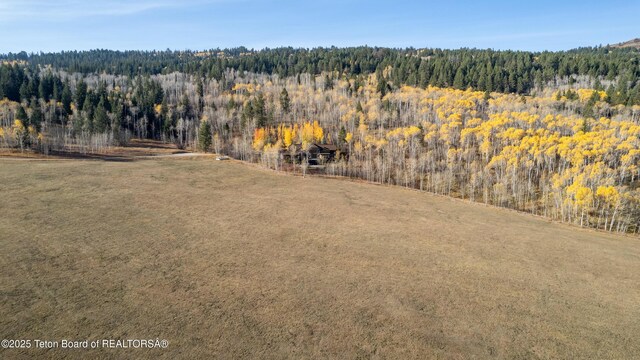 14925 S Mckoy Rd, Jackson, WY 83001 - photo 65