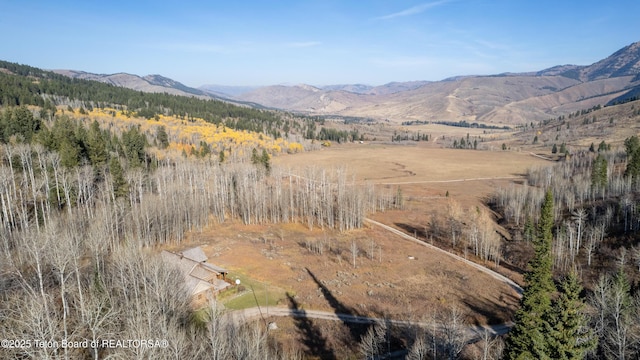 14925 S Mckoy Rd, Jackson, WY 83001 - photo 66