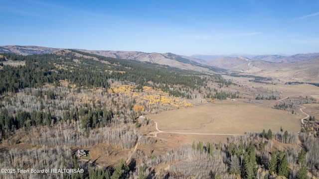 14925 S Mckoy Rd, Jackson, WY 83001 - photo 67