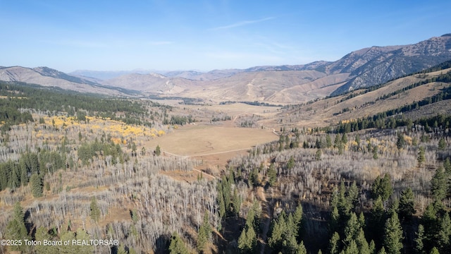 14925 S Mckoy Rd, Jackson, WY 83001 - photo 68