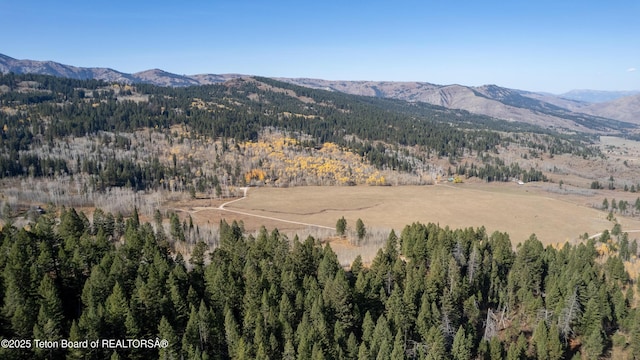 14925 S Mckoy Rd, Jackson, WY 83001 - photo 70