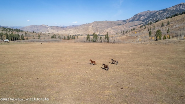 14925 S Mckoy Rd, Jackson, WY 83001 - photo 71