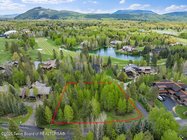 3280 N Teton Pines Dr, Wilson, WY 83014