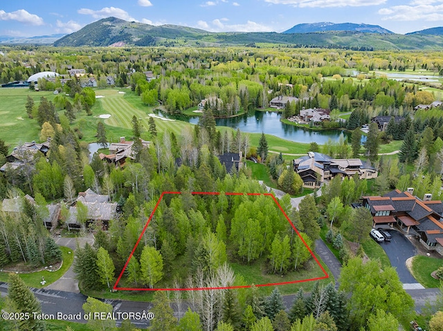 3280 N Teton Pines Dr, Wilson, WY 83014