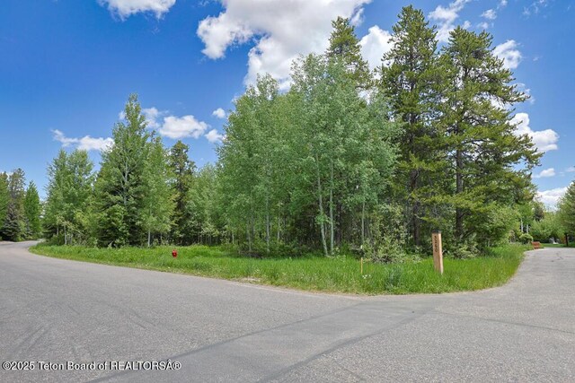 3280 N Teton Pines Dr, Wilson, WY 83014