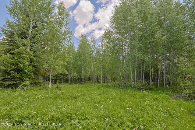 3280 N Teton Pines Dr, Wilson, WY 83014