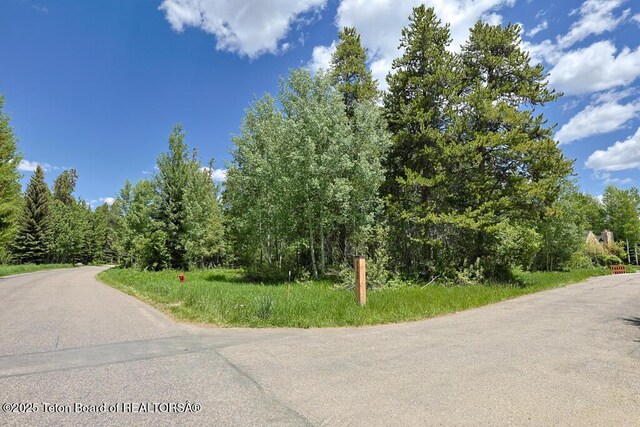 3280 N Teton Pines Dr, Wilson, WY 83014