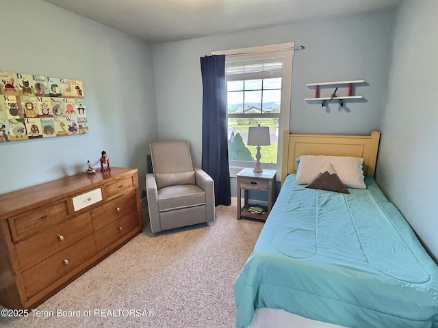 461 Booshway St, Driggs, ID 83422 - view of carpeted bedroom
