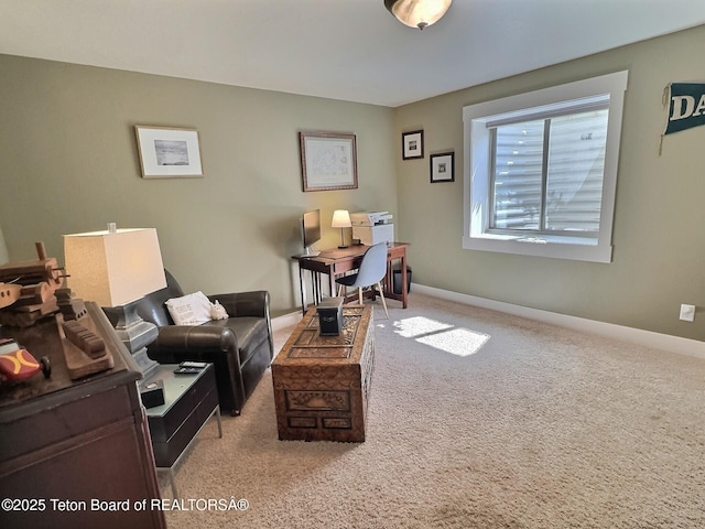 461 Booshway St, Driggs, ID 83422 - office with carpet flooring and baseboards