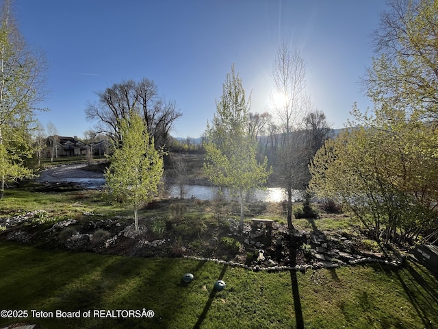 165 Cobble Creek Ln, Driggs, ID 83422 - view of yard featuring a water view