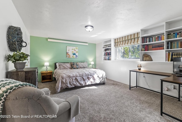 279 Vista E Dr, Star Valley Ranch, WY 83127 - view of carpeted bedroom