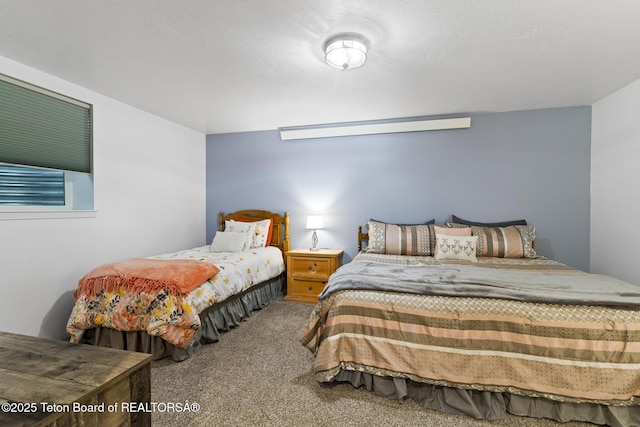 279 Vista E Dr, Star Valley Ranch, WY 83127 - bedroom featuring carpet flooring