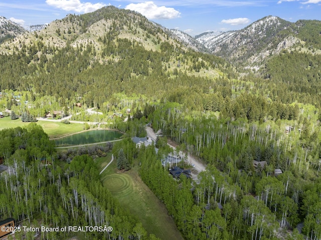 279 Vista E Dr, Star Valley Ranch, WY 83127 - view of mountain background with a heavily wooded area