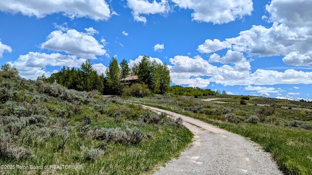 10559 Rammell Mountain Rd, Tetonia, ID 83452 - view of road