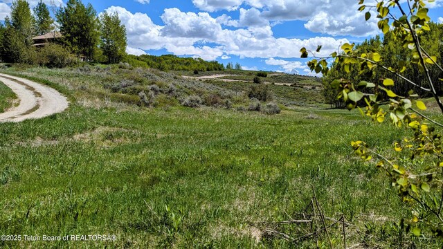 10559 Rammell Mountain Rd, Tetonia, ID 83452 - view of yard