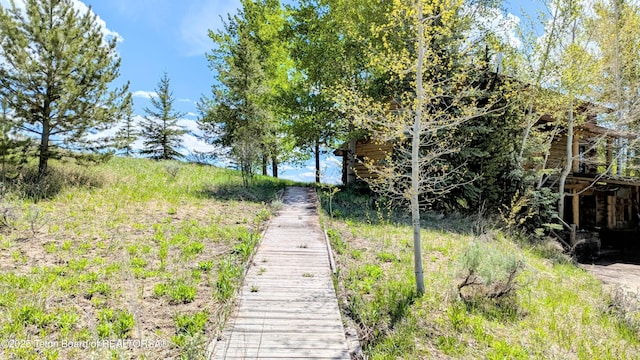 10559 Rammell Mountain Rd, Tetonia, ID 83452 - exterior space