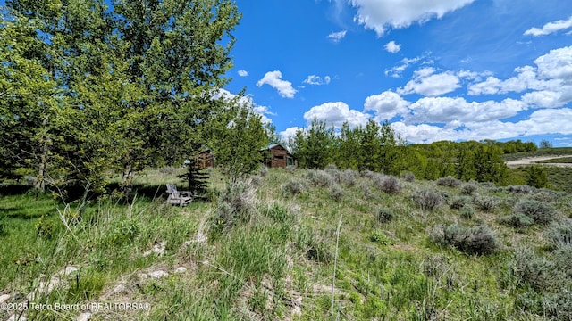 10559 Rammell Mountain Rd, Tetonia, ID 83452 - view of undeveloped land