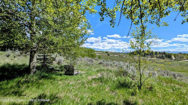 10559 Rammell Mountain Rd, Tetonia, ID 83452 - view of yard