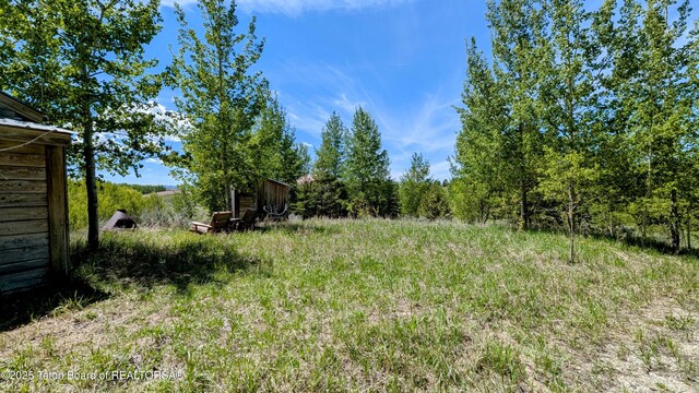 10559 Rammell Mountain Rd, Tetonia, ID 83452 - view of yard