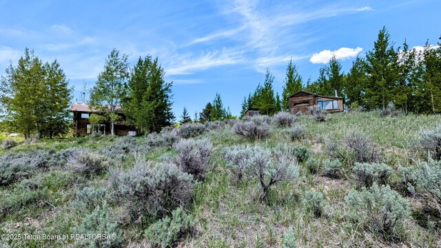 10559 Rammell Mountain Rd, Tetonia, ID 83452 - view of yard