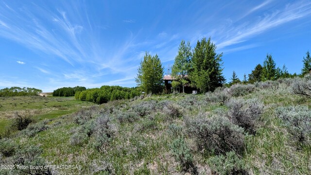 10559 Rammell Mountain Rd, Tetonia, ID 83452 - view of undeveloped land featuring rural landscape