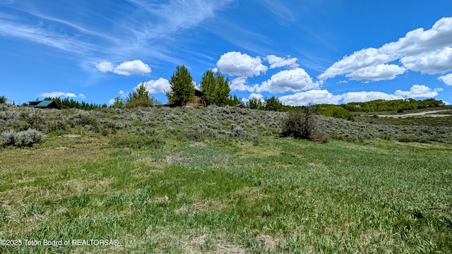 10559 Rammell Mountain Rd, Tetonia, ID 83452 - view of yard