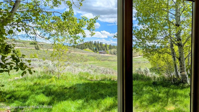 10559 Rammell Mountain Rd, Tetonia, ID 83452 - view of yard