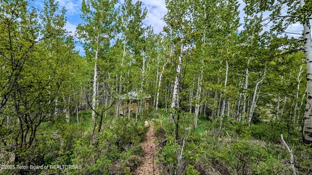 10559 Rammell Mountain Rd, Tetonia, ID 83452