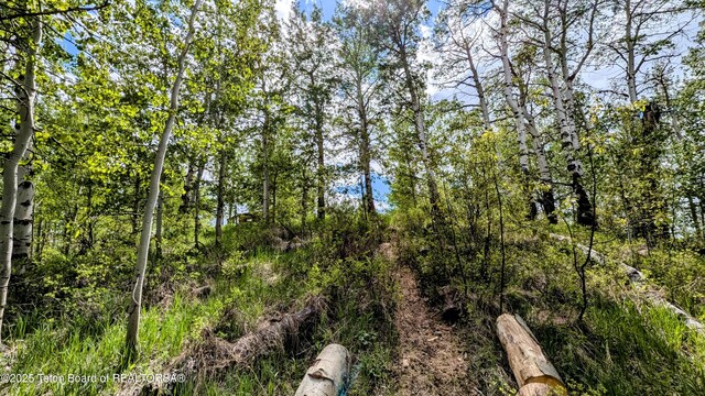 10559 Rammell Mountain Rd, Tetonia, ID 83452