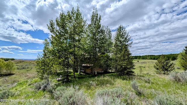 10559 Rammell Mountain Rd, Tetonia, ID 83452