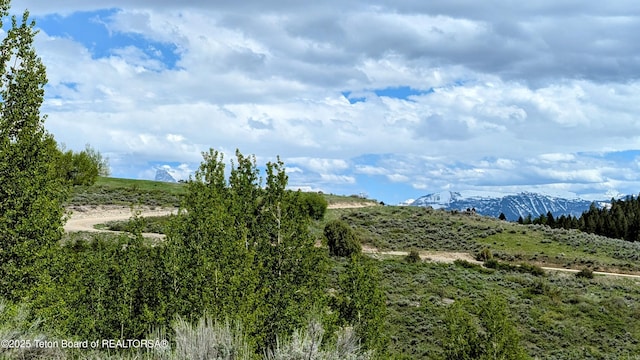 10559 Rammell Mountain Rd, Tetonia, ID 83452