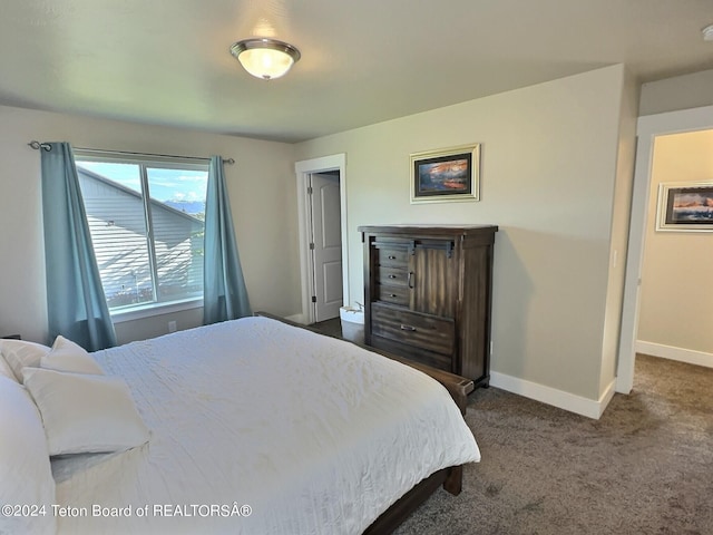 2929 Iron Wood Dr, Driggs, ID 83422 - bedroom with dark colored carpet and baseboards