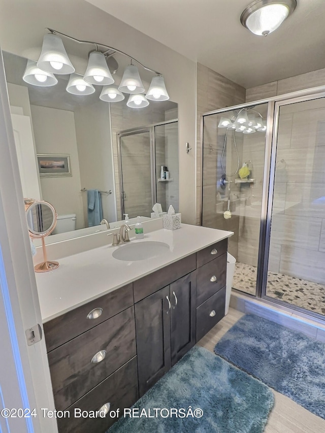 2929 Iron Wood Dr, Driggs, ID 83422 - bathroom featuring toilet, vanity, and a shower stall