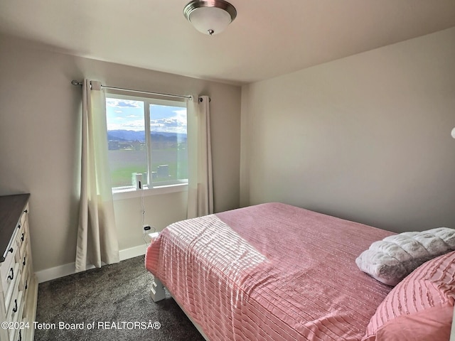 2929 Iron Wood Dr, Driggs, ID 83422 - bedroom featuring dark carpet and baseboards