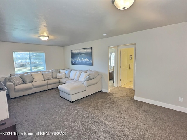 2929 Iron Wood Dr, Driggs, ID 83422 - living area featuring carpet and baseboards