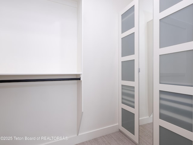 155 Sagewood Dr, Driggs, ID 83422 - spacious closet featuring carpet