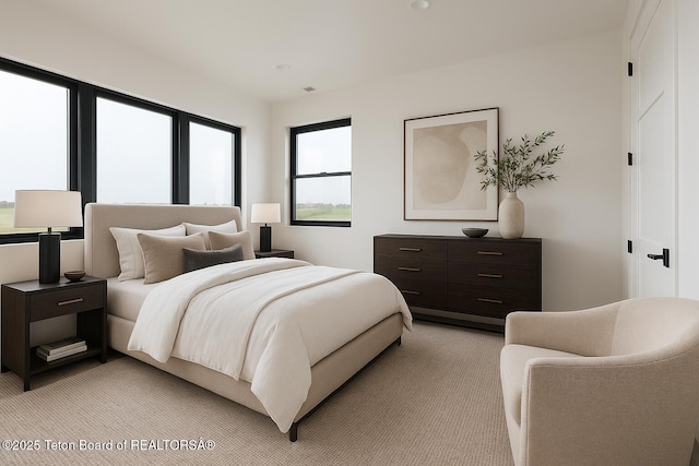 155 Sagewood Dr, Driggs, ID 83422 - bedroom featuring light carpet